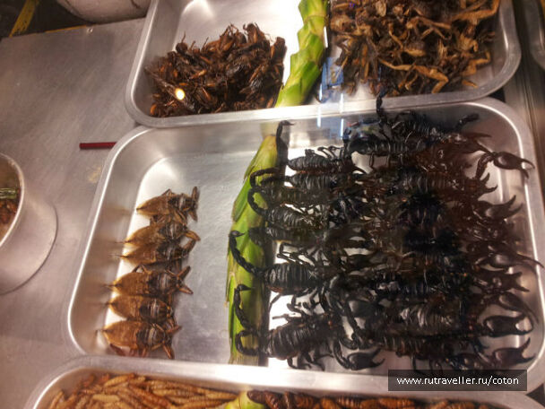 photo 221603
