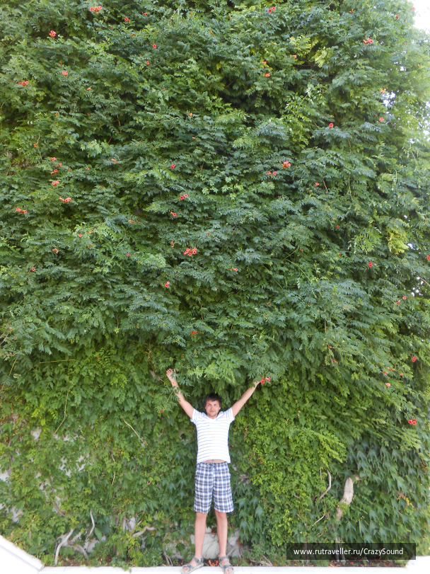 photo 625726