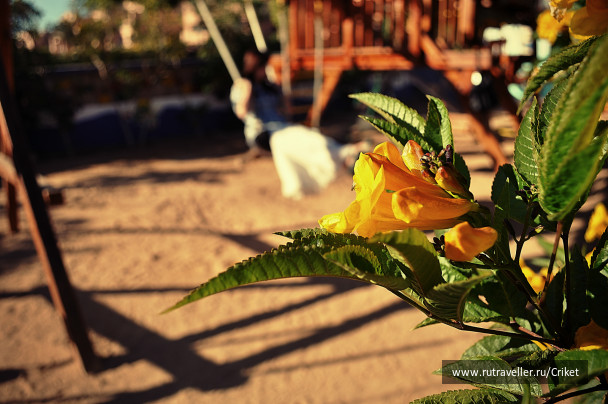 photo 55598