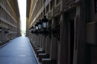 photo 279619