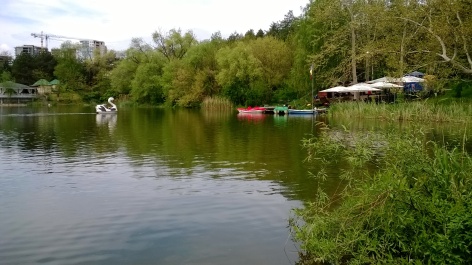 photo 1071466