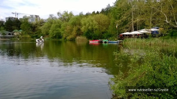 photo 1071466