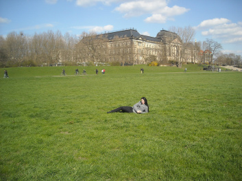 photo 295524