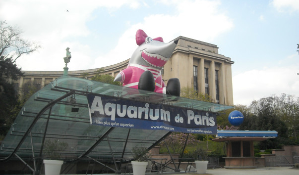 DSCN2007