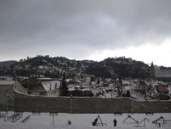 photo 296824