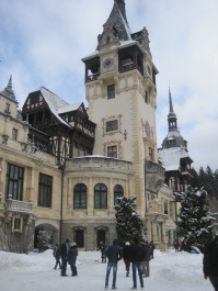 photo 296951