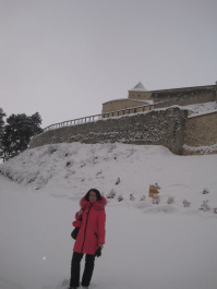 photo 297256