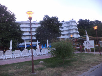 photo 1491911