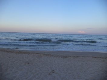 photo 1491912