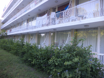 photo 1491914