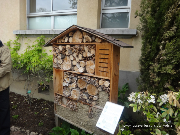 photo 340752