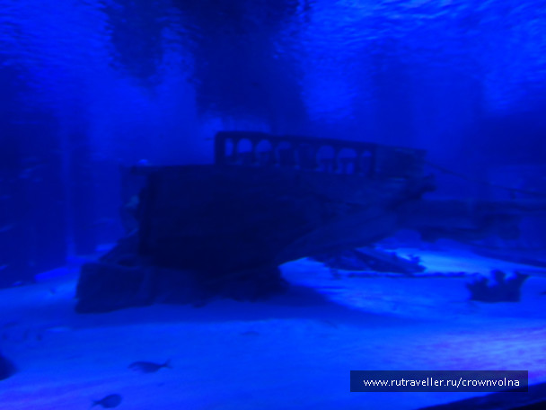 photo 342835