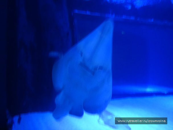 photo 342836