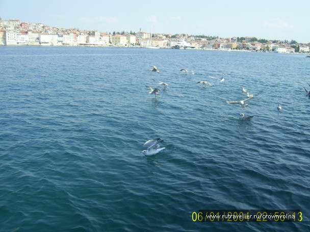 photo 342912