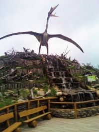 photo 874820