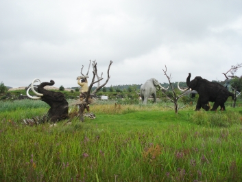 photo 874825