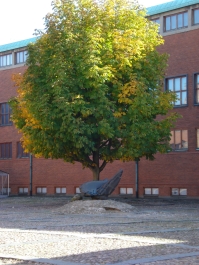 photo 879734