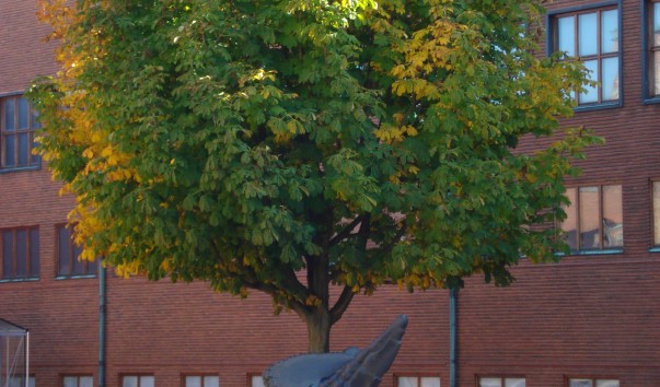 DSC00263
