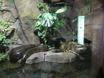 photo 886051