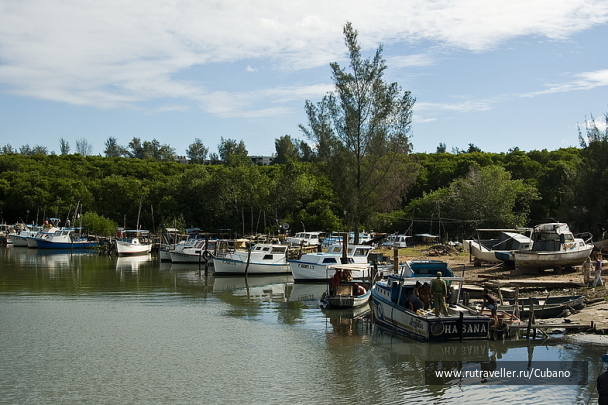 photo 1207503