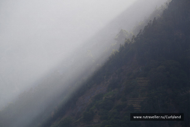 photo 1124259