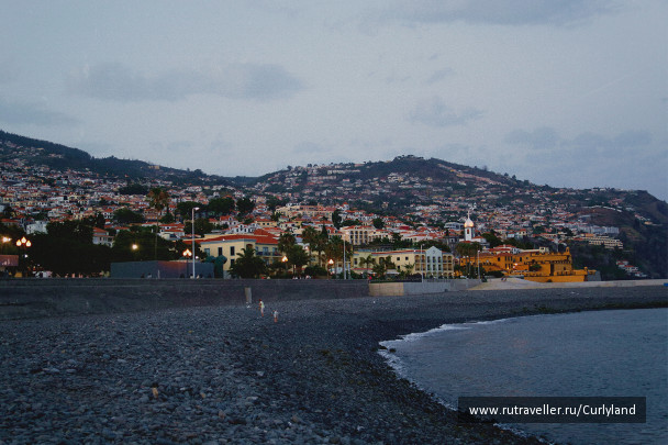 photo 1124276