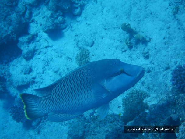 photo 1263839