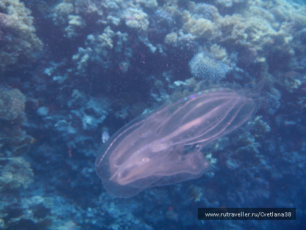 photo 1263840