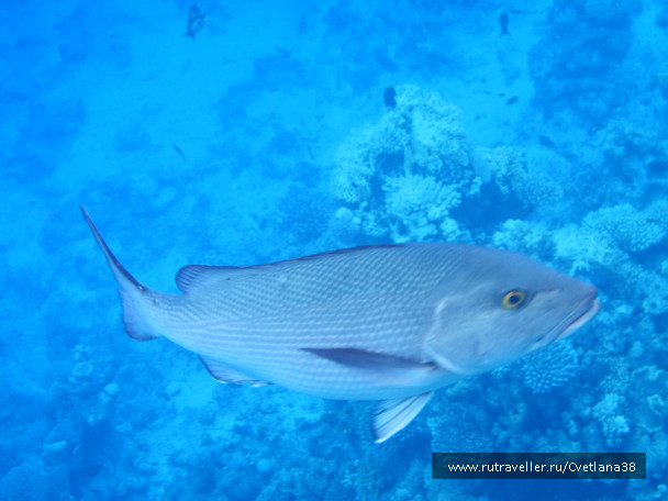 photo 1263849