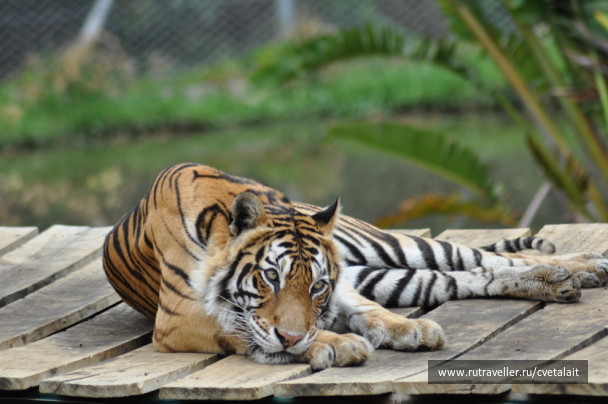 photo 156152
