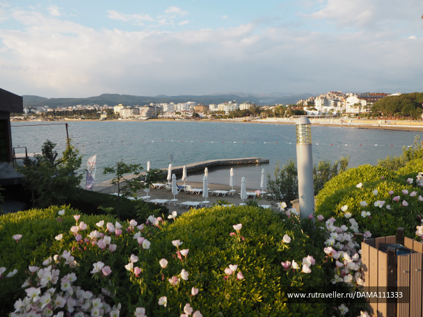photo 1764516