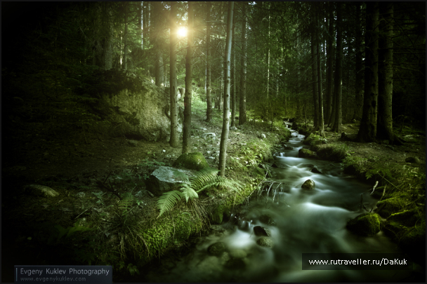 photo 262822