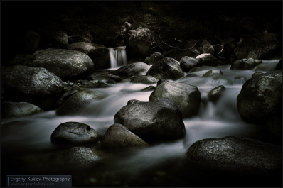 photo 262825