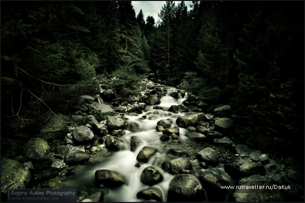 photo 262826