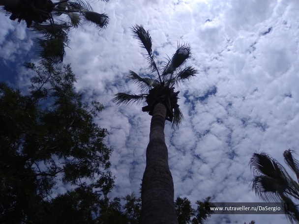 photo 1505766