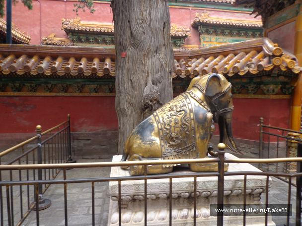 photo 1375394