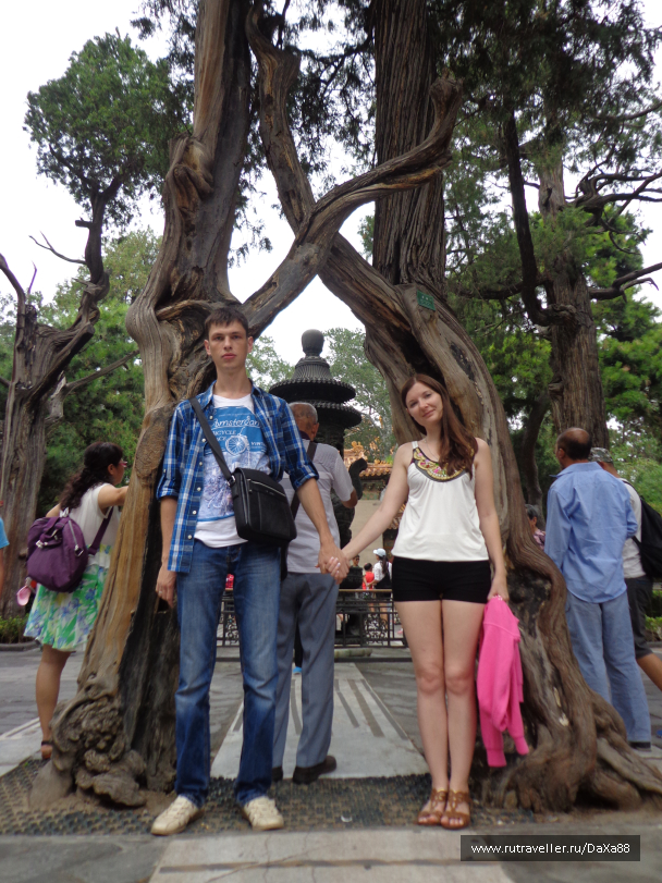 photo 1375395