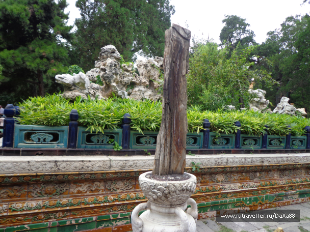 photo 1375397