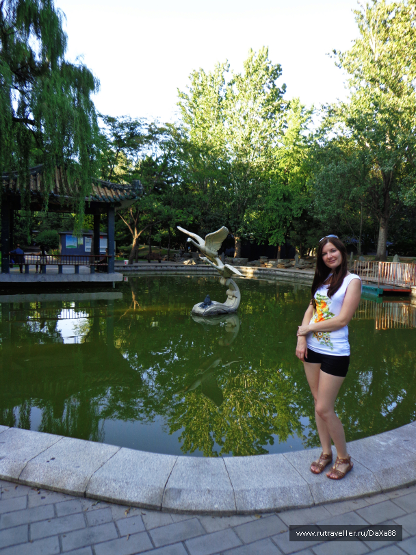 photo 1376413