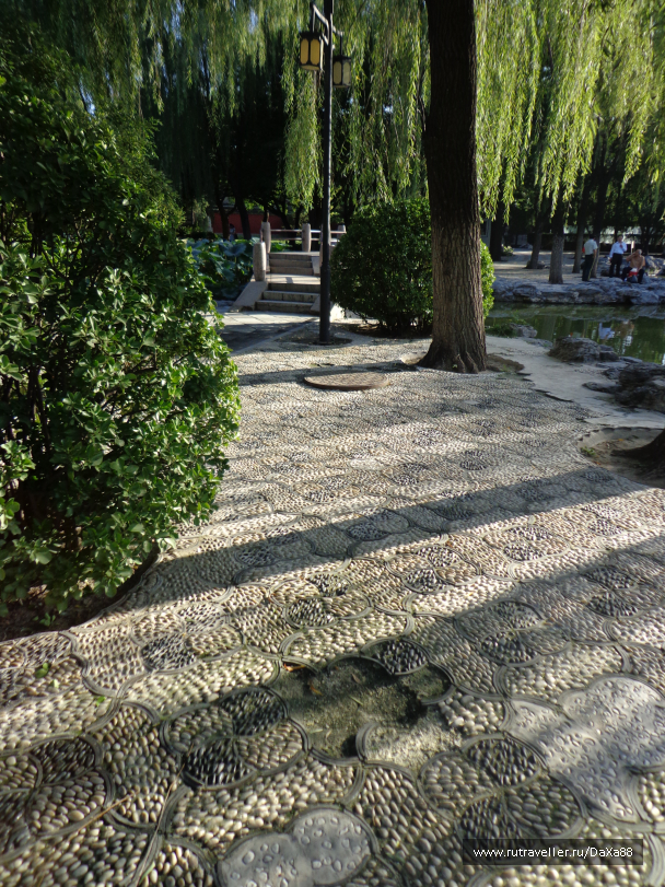 photo 1376414