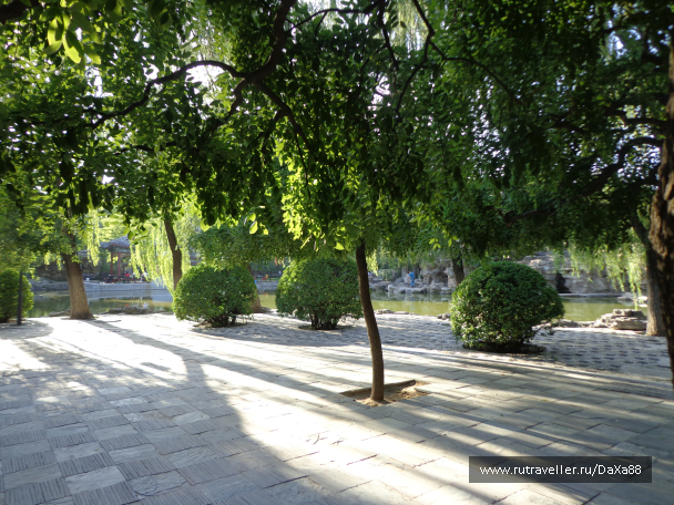photo 1376415