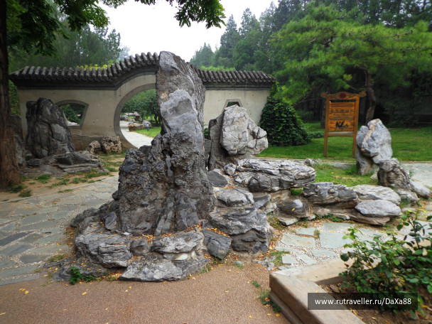 photo 1376424