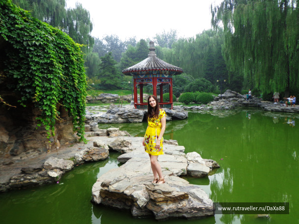 photo 1376431