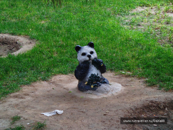 photo 1376434