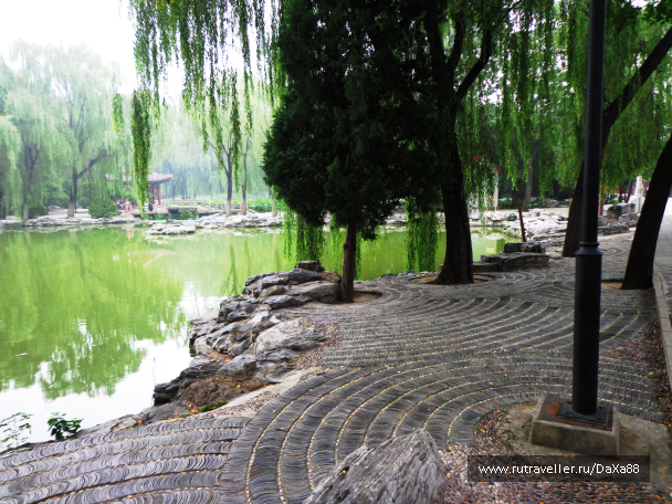 photo 1376435