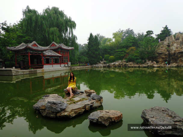 photo 1376437