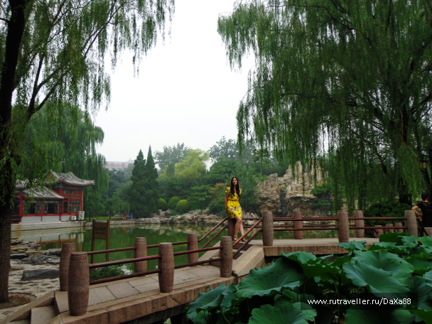 photo 1376439