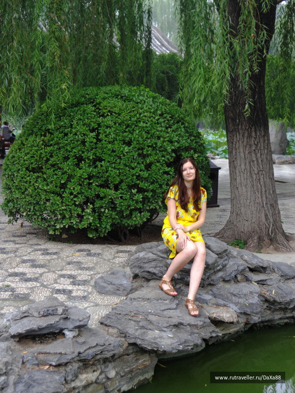 photo 1376440