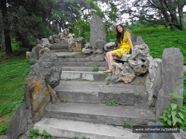 photo 1376444