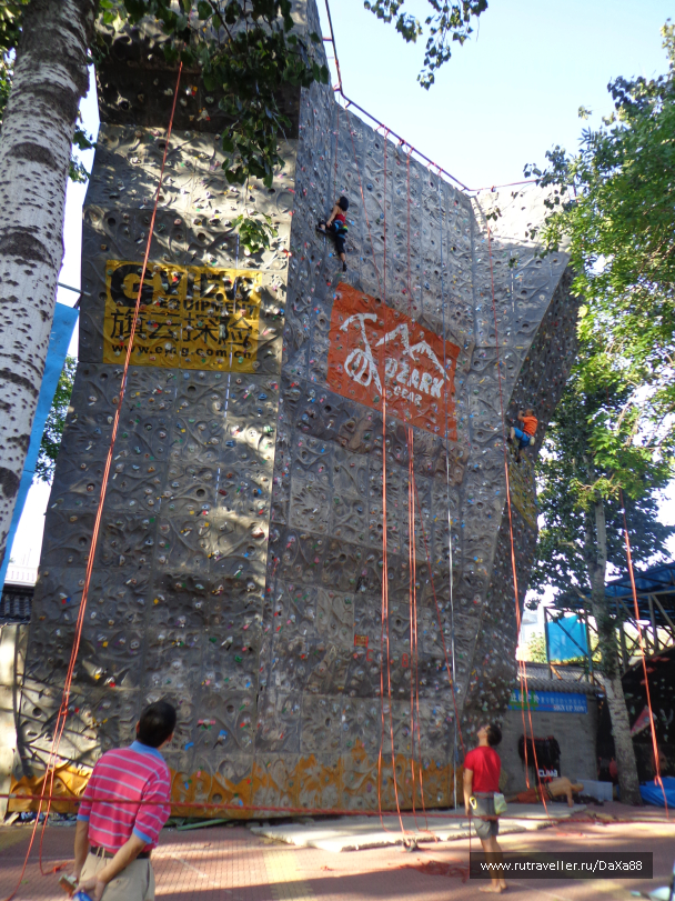 photo 1376447